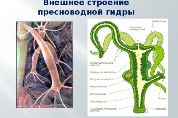 Что такое кракен маркетплейс