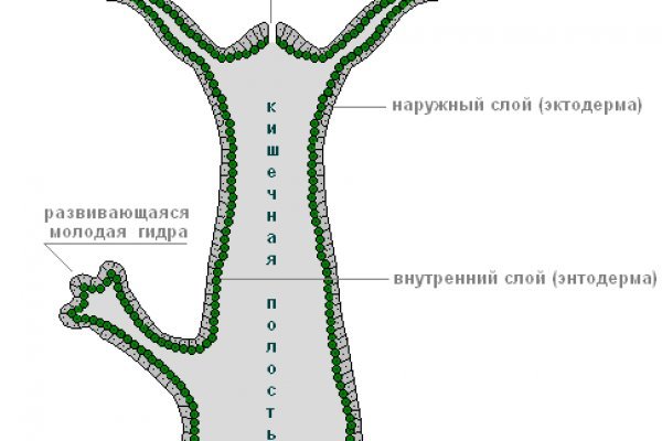 Кракен сайт kraken014 com